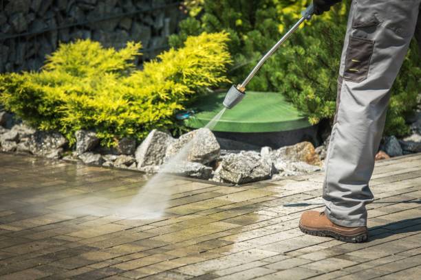 Animal Enclosure Cleaning in Village Green, NY
